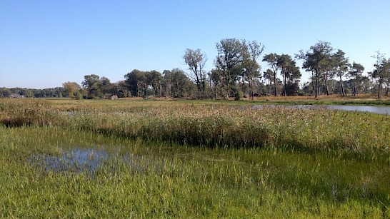 Empense heide en Tondense heide