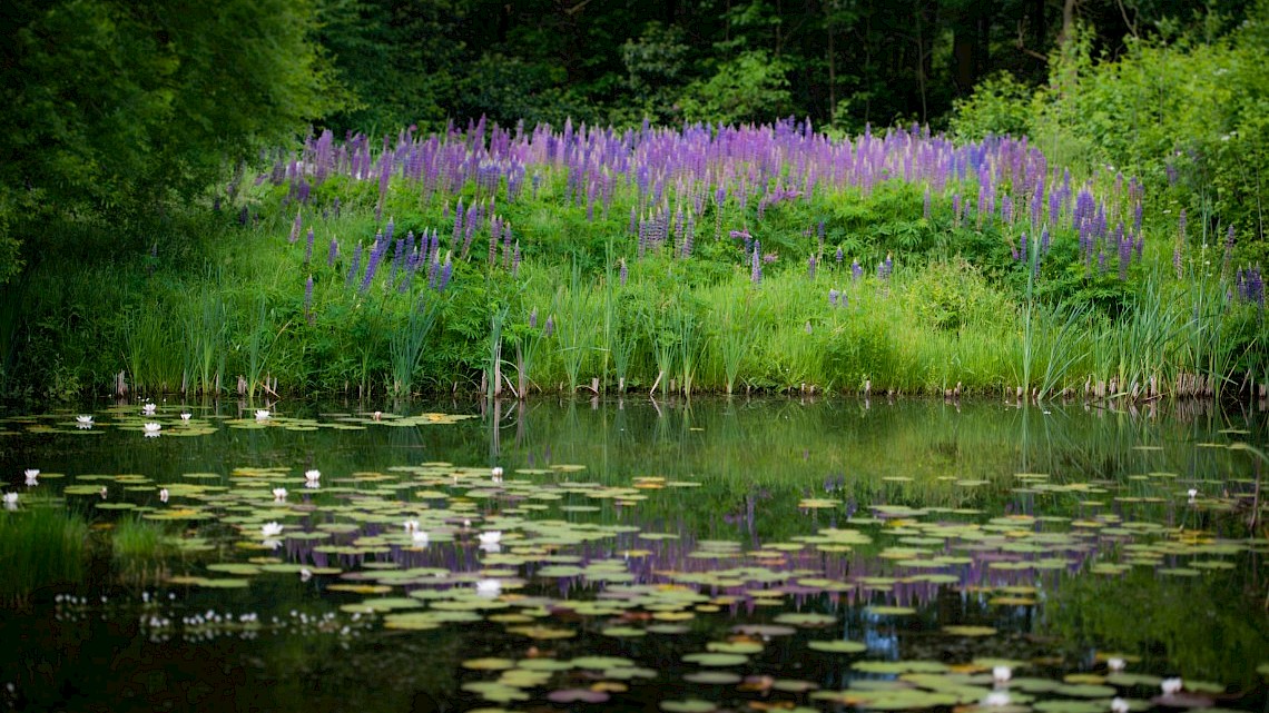 bloemenpracht aan de oever