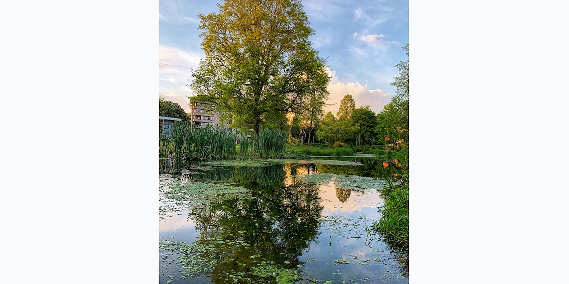 Martin van der Wulp Doe - park De Hagen