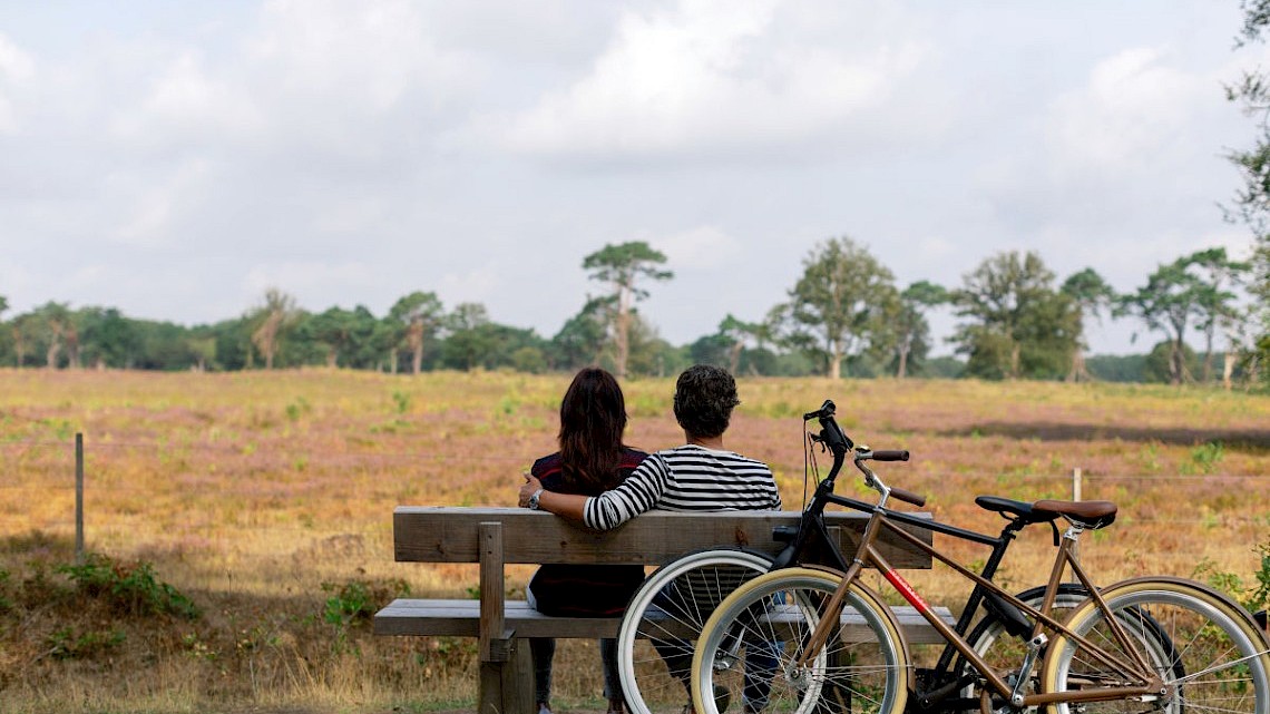 Fietsvakantie in Drenthe