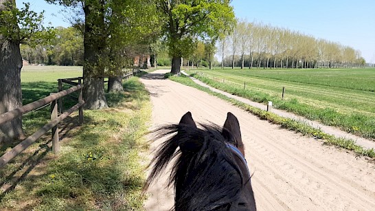 Te paard door de Achterhoek