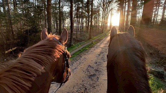 Paardrijroute in Hengelo (G) e.o.