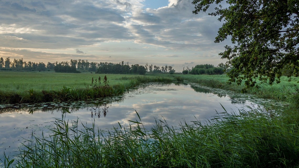 wisselvalig zomerweer