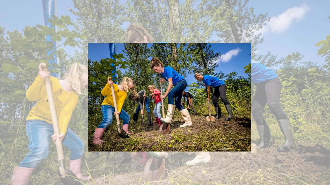 Nieuw fonds voor kleinschalige initiatieven om bomen te planten