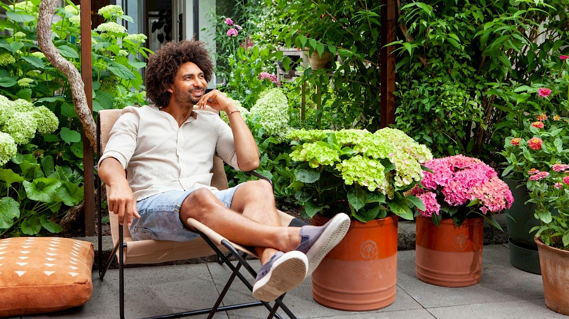 Tips om optimaal te genieten van hortensia