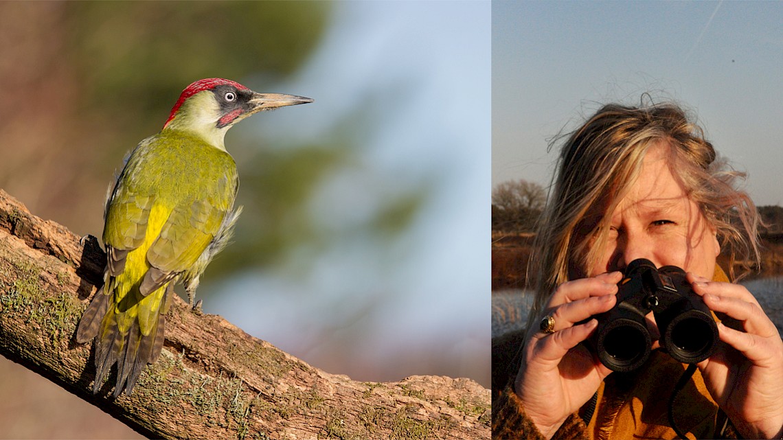 Vogels kiek'n met Mirjam Enzerink