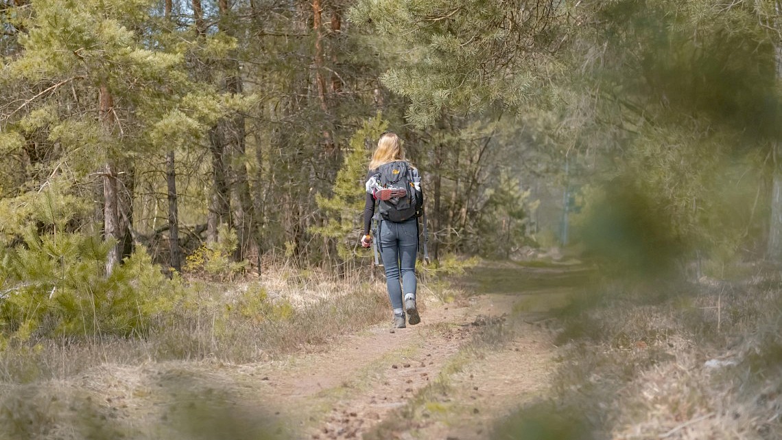 Ontdek de Koninklijke Veluwe