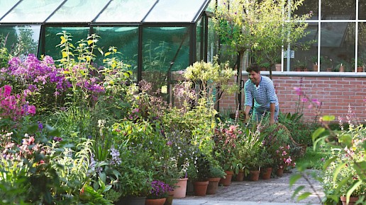 Pottenborders met zomerbloeiers