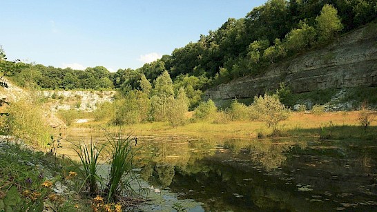 Steengroeve in Winterswijk